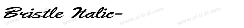 Bristle Italic字体转换 Bristle Italic字体转换